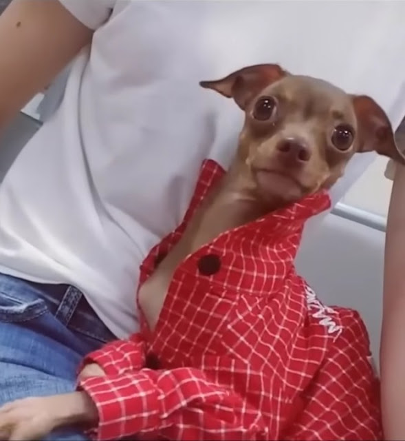 Extra image from article