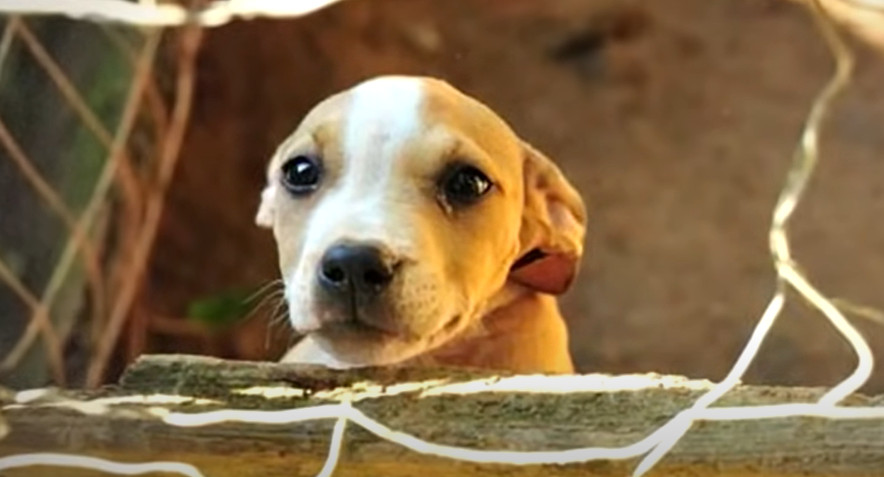 Timmy's experience inspires us to suppor...