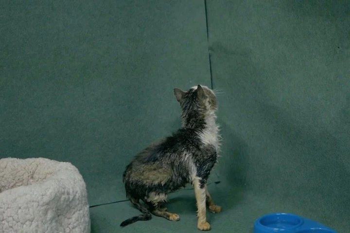 A turning point came when a kind-hearted...