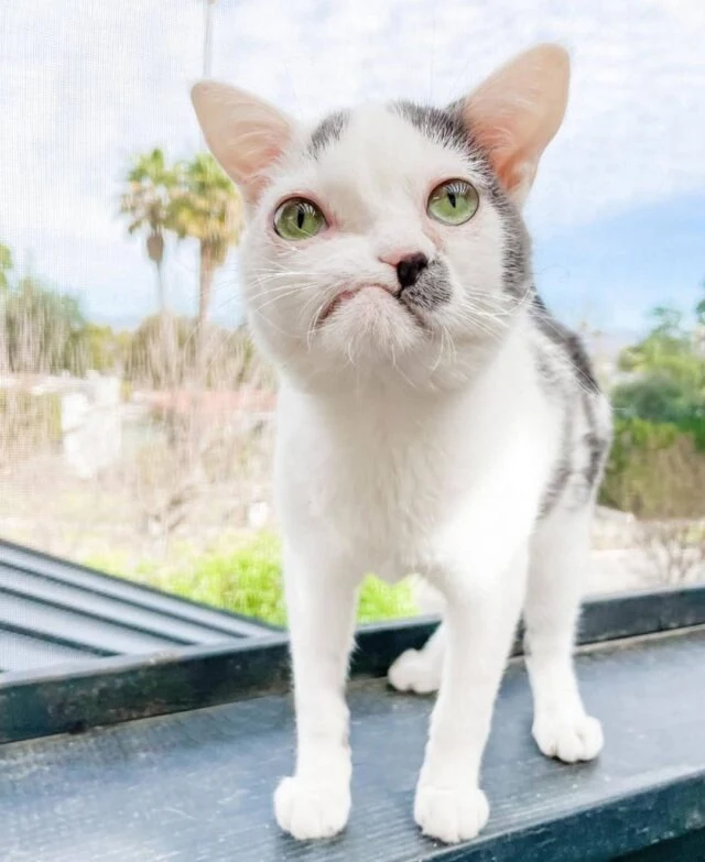 Discussing her resilient ward, Mel state...