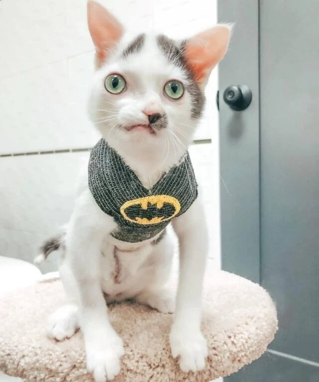 Indeed, there’s enchantment to be found ...