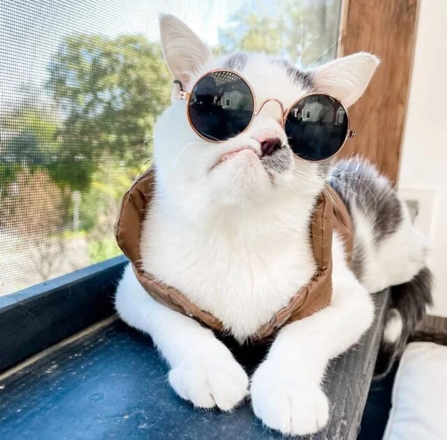 Extra image from article