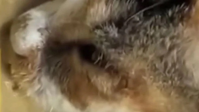 The initial recovery period was challeng...