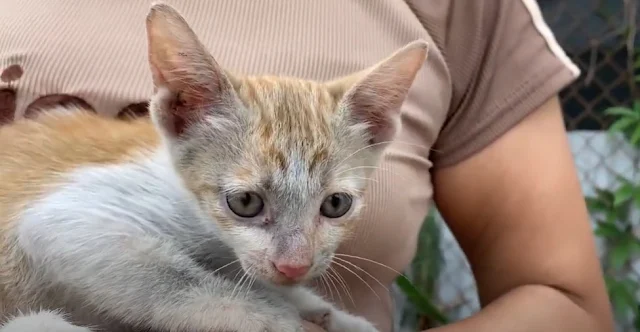 Her story, shared widely on social media...