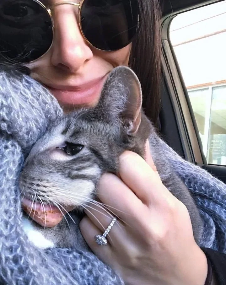 The clear course of action was surgery, ...