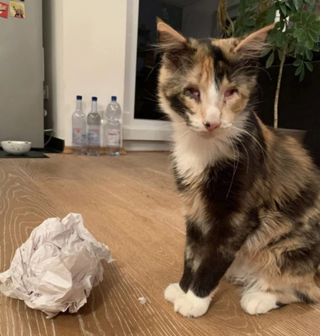 Amazingly, Liah seems to know when to se...