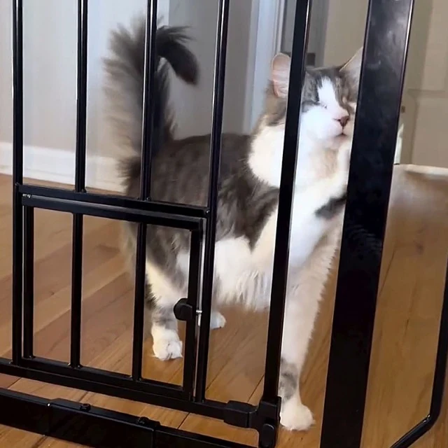 Though the sight was touching, Donna was...