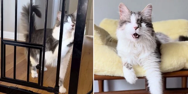 In her cozy home office, Donna dedicates...