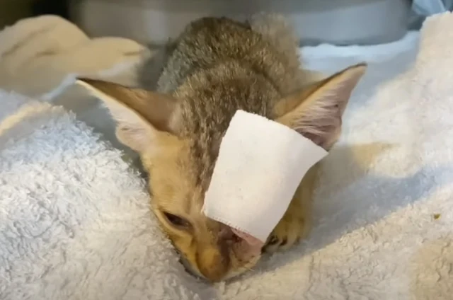 Though it was disheartening to hear, I u...