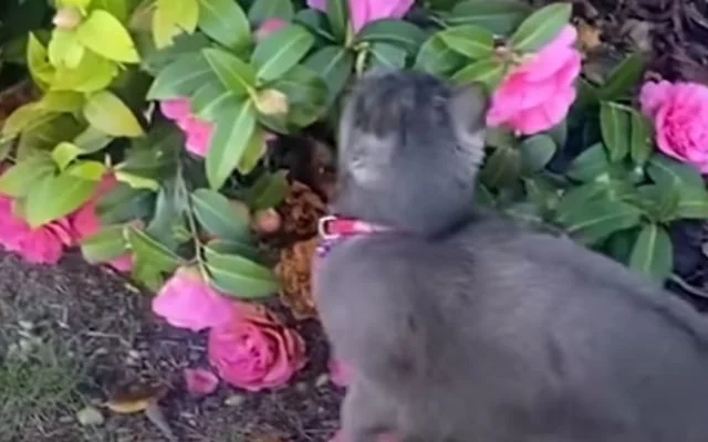 The woman affectionately referred to Fid...