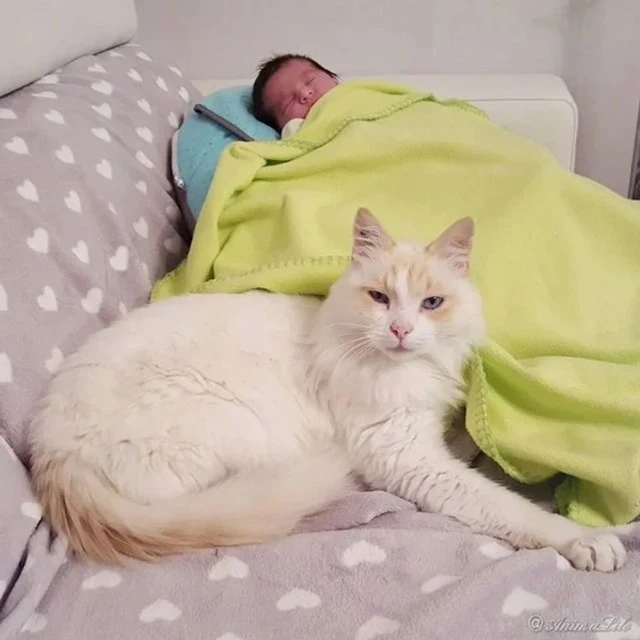 Extra image from article