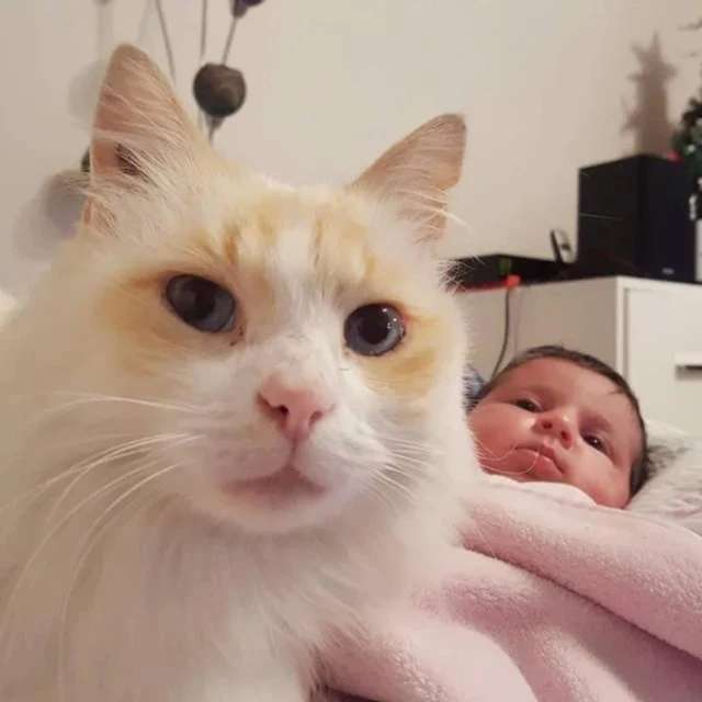 Extra image from article