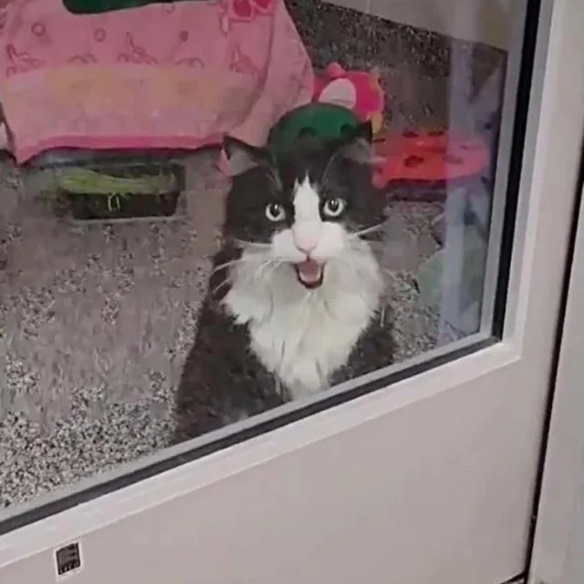 While Moxy has settled into life at the ...