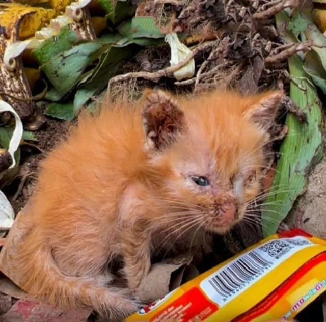 Though the road to recovery was gradual,...