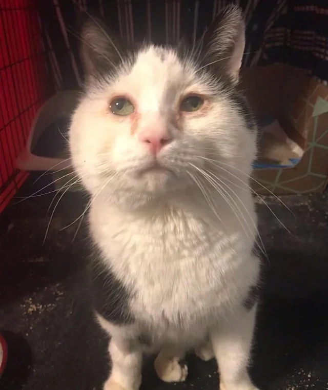 Chuck is living his best life, filling e...