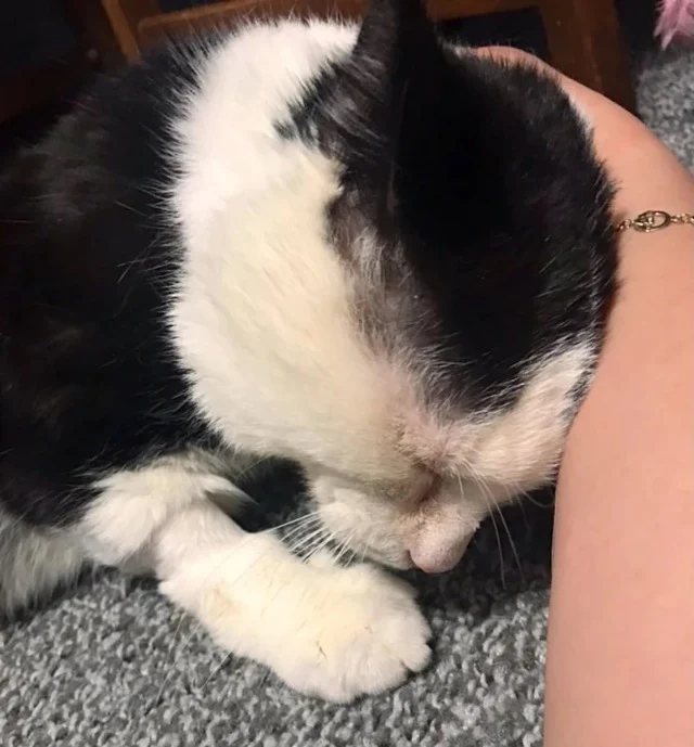 Extra image from article