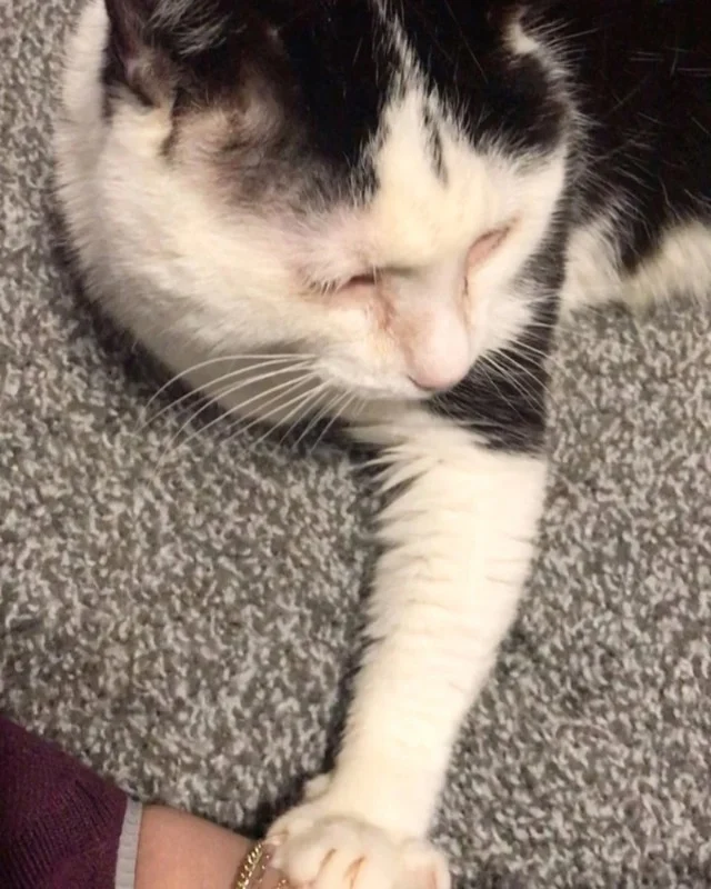 Extra image from article