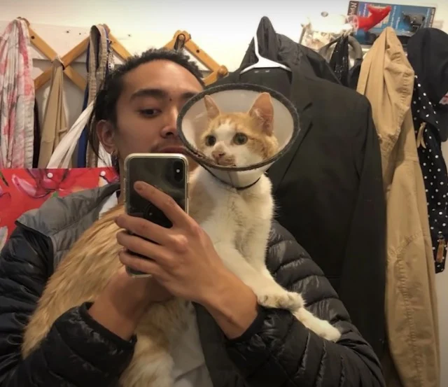 Extra image from article