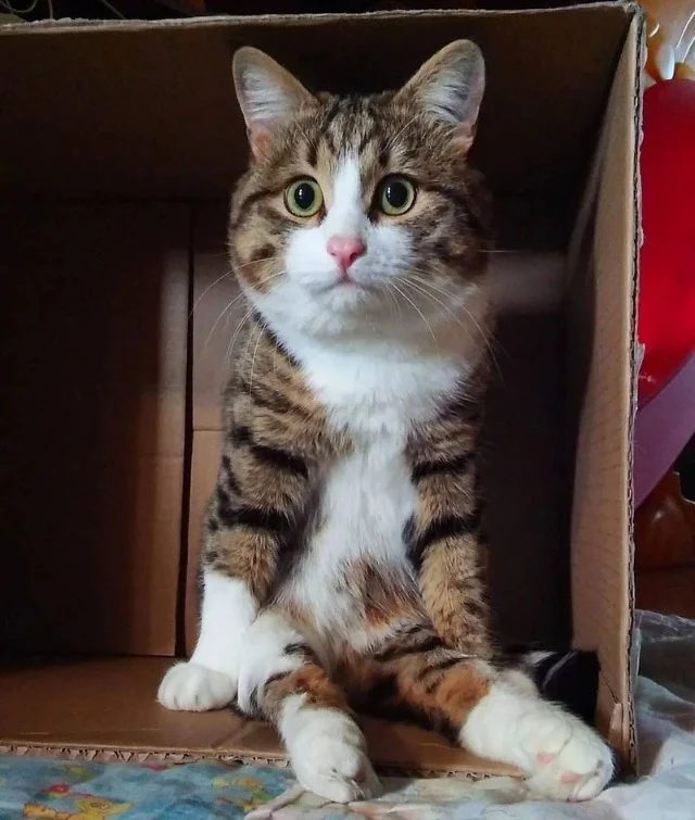 Daria played a crucial role in Rexie's r...