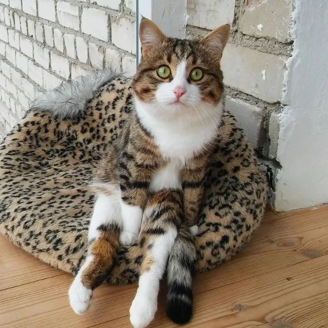 If you found Rexie's story uplifting, sh...