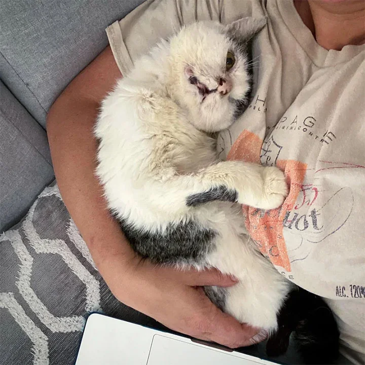 Extra image from article