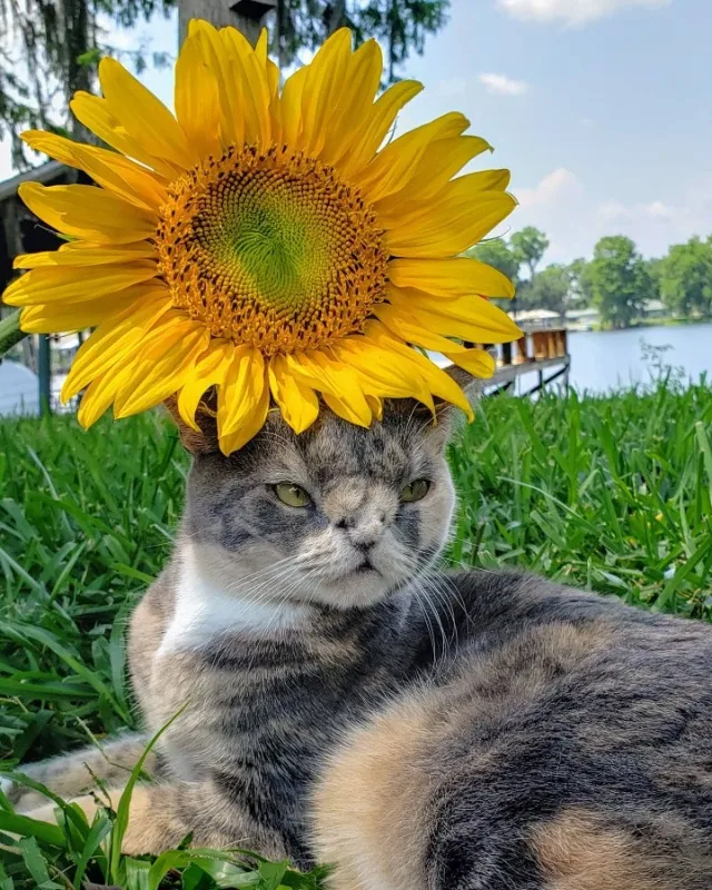 In addition to her social media fame, Wi...