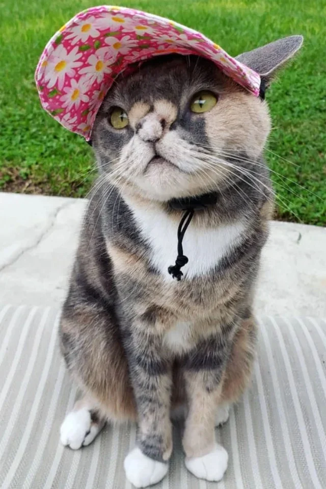 Extra image from article