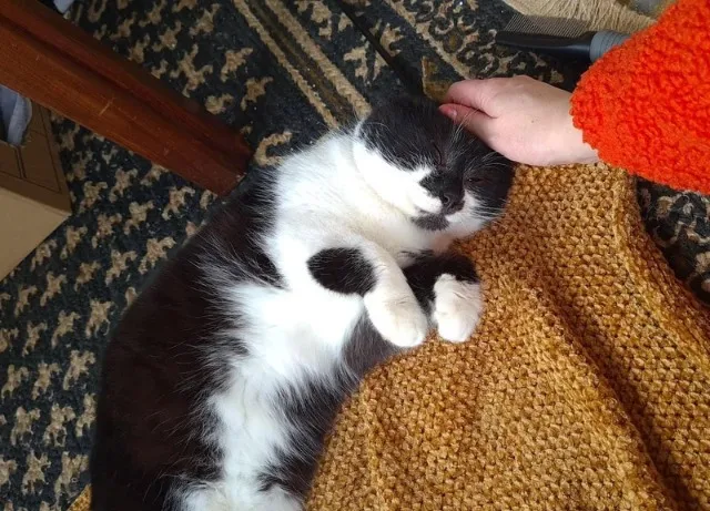 Extra image from article