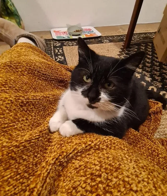 Extra image from article