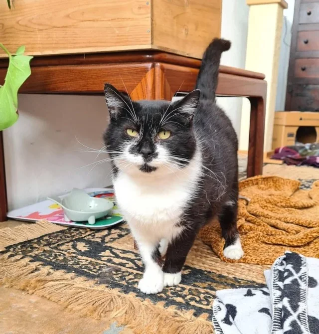 Extra image from article