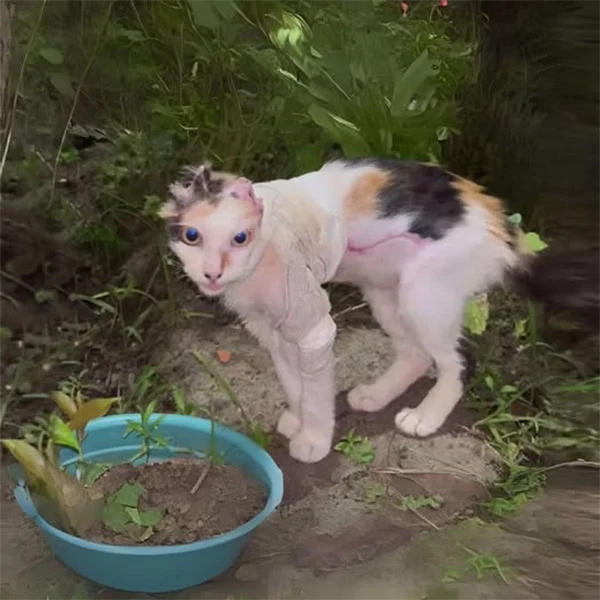 In February, Michael Hill was sentenced ...