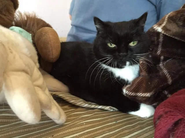 Extra image from article