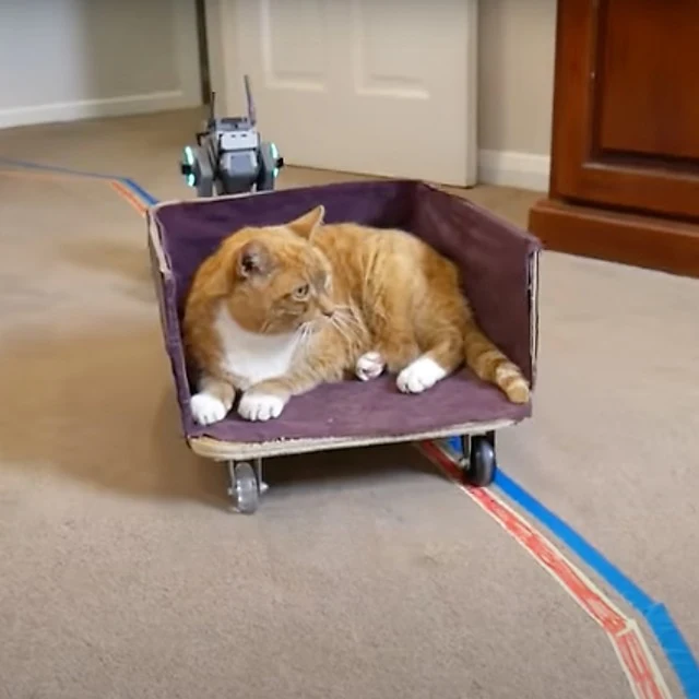 The elevator proved successful, smoothly...