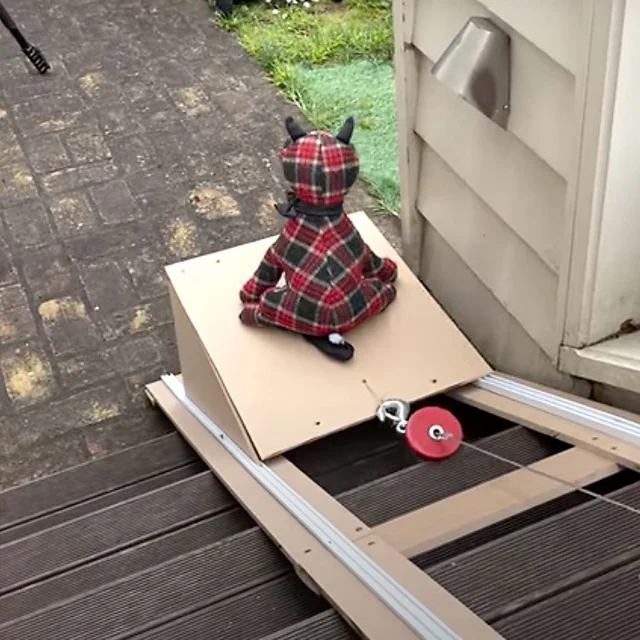 Extra image from article