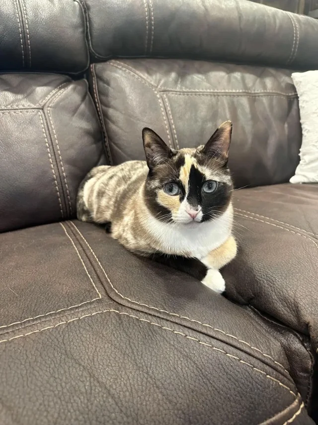 Thankfully, the family's prayers were an...