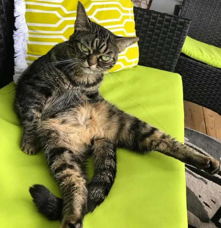 Extra image from article