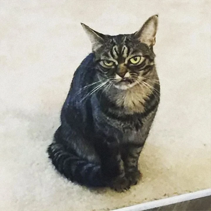 Extra image from article