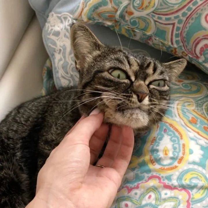 Extra image from article