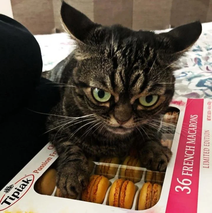 Extra image from article