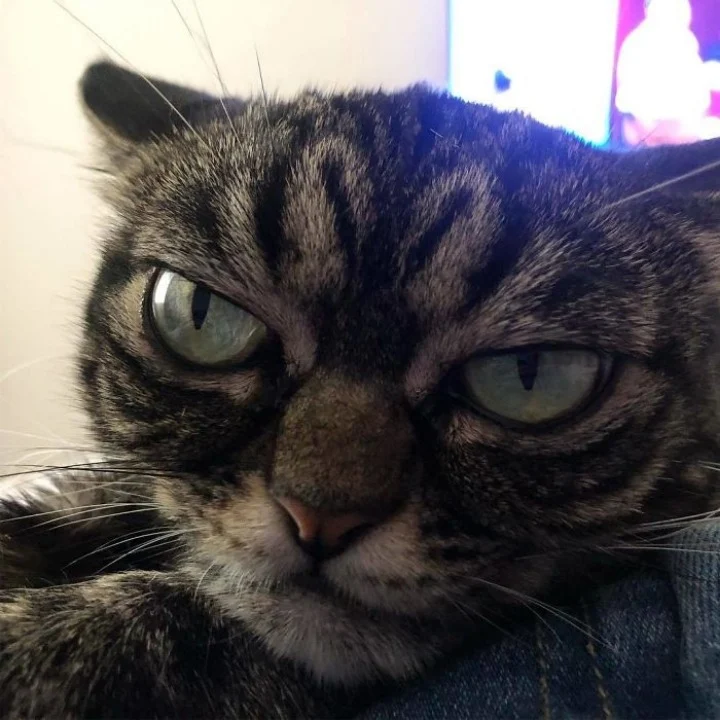 Extra image from article