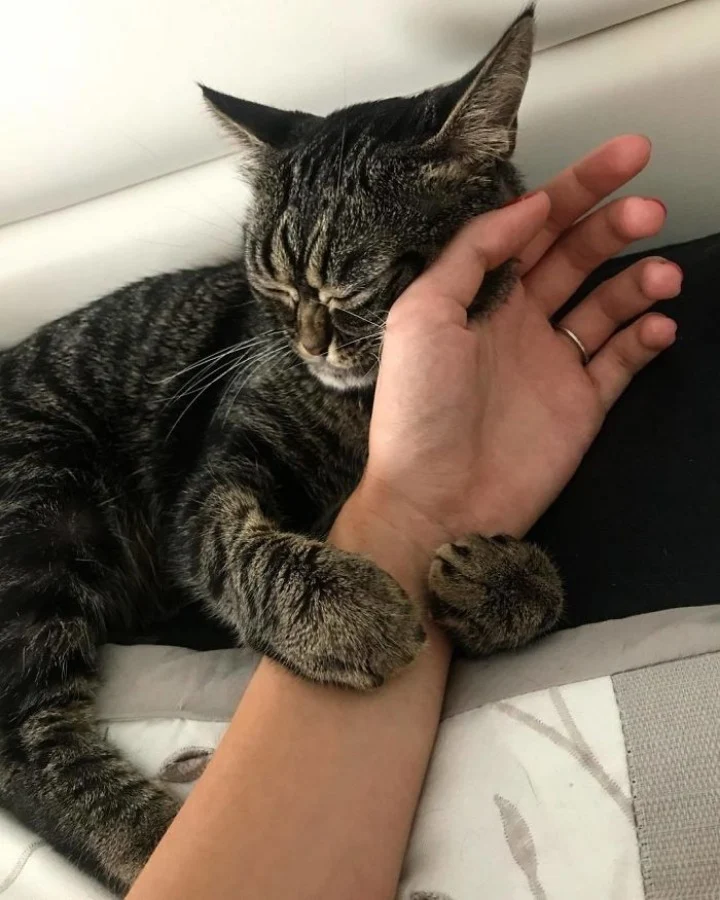 Extra image from article