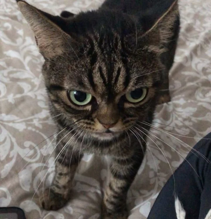 Extra image from article