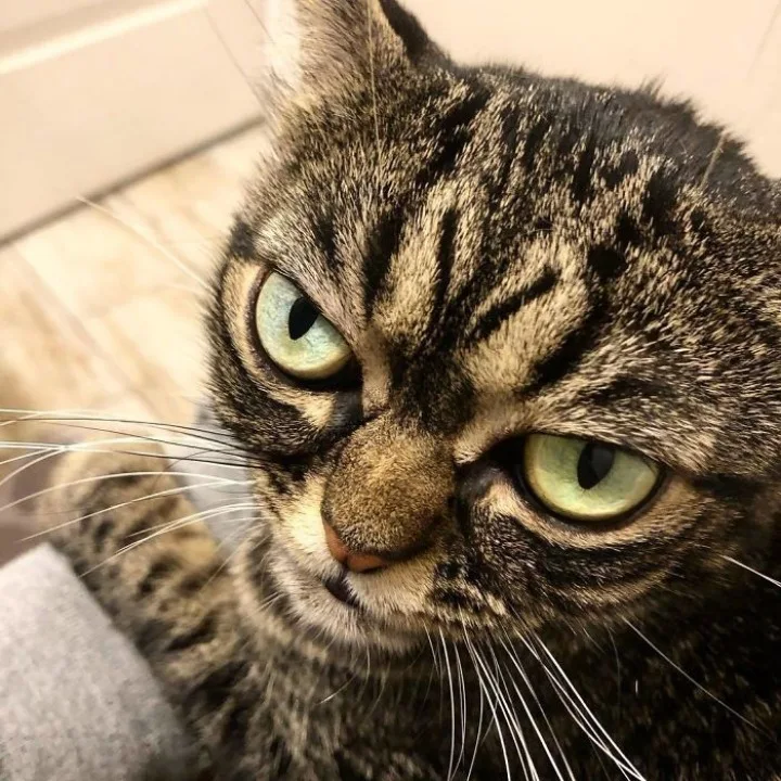 Extra image from article