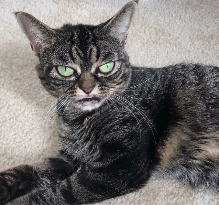 Extra image from article