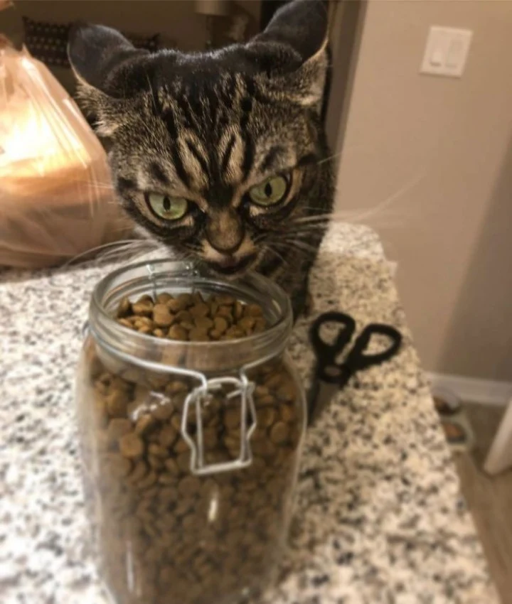 Extra image from article