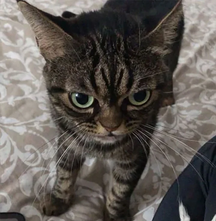 Extra image from article