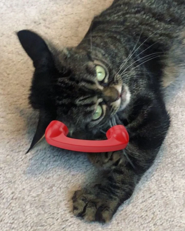 Extra image from article