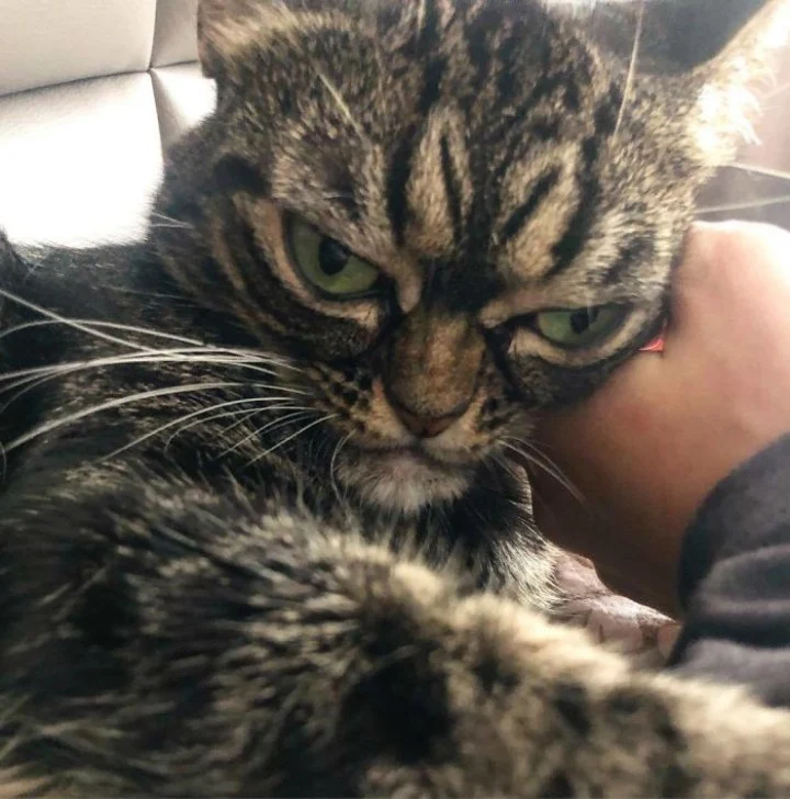 Extra image from article