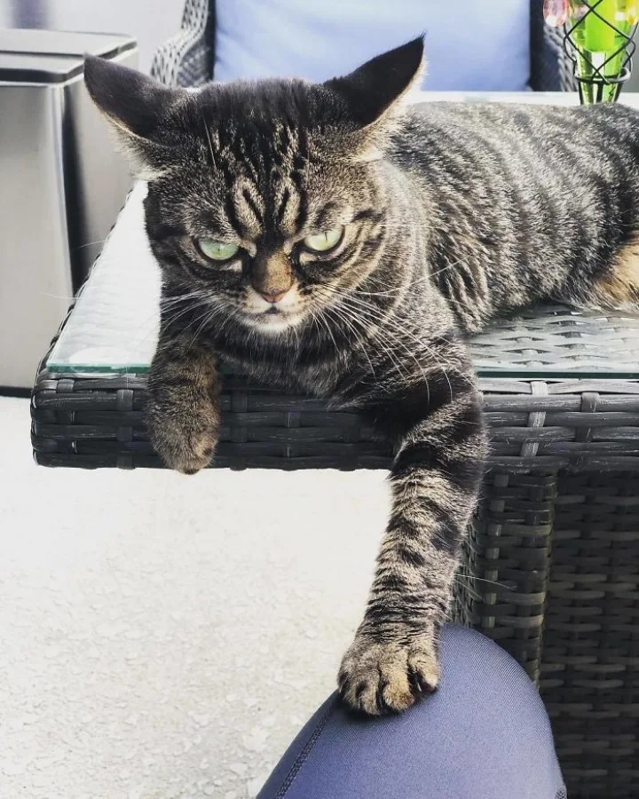 Extra image from article