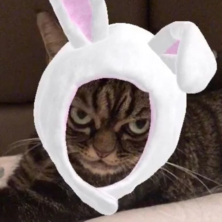 Extra image from article